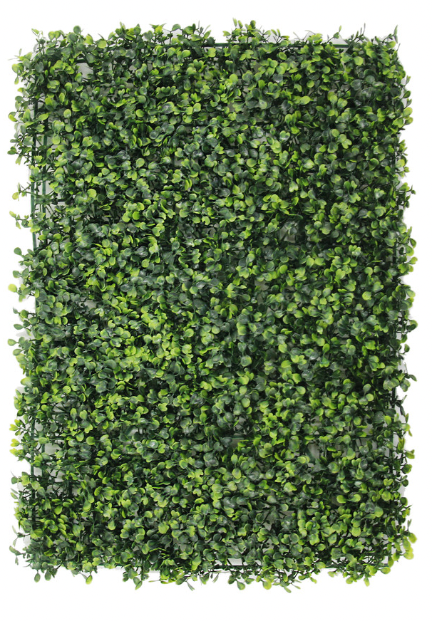 Boxwood Panel