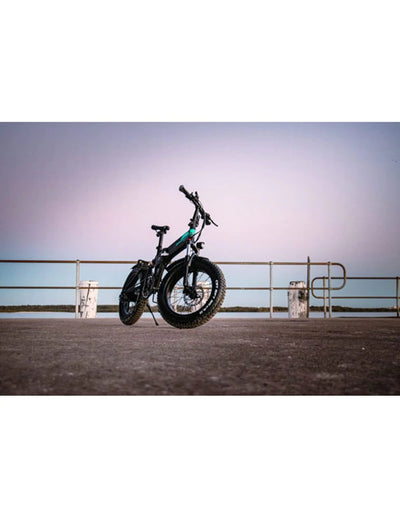 Fiido EBike M3 (Off Road) FDO0M3