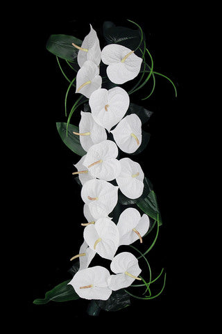 Artificial Anthurium Roll (3 PCS)