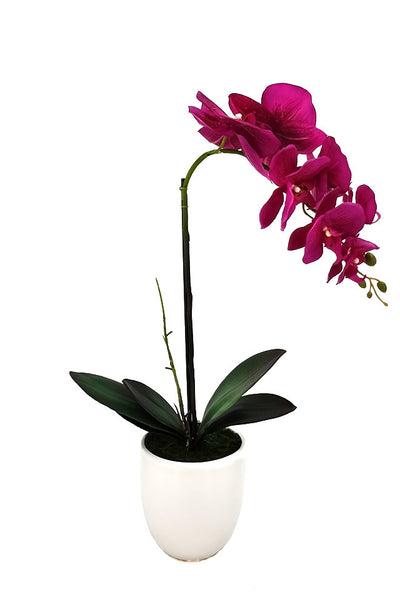 56cm Small Artificial Potted Orchid - Ceramic Vase (2 PCS)