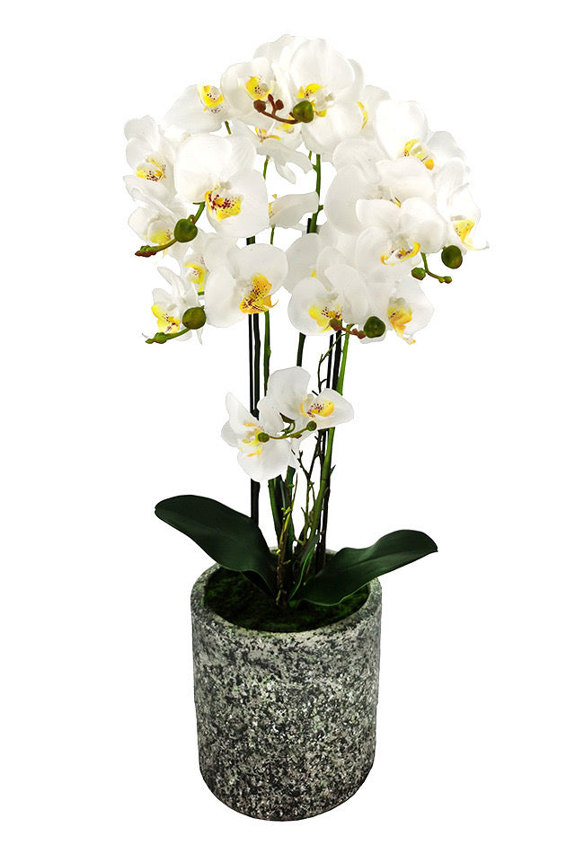 72cm Large Artificial Potted Orchid - Ceramic Vase (2 PCS)