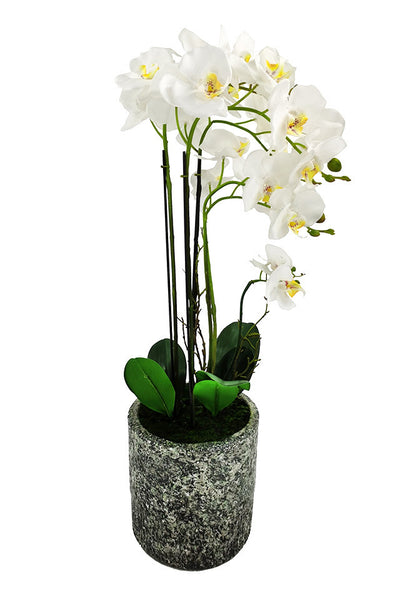 72cm Large Artificial Potted Orchid - Ceramic Vase (2 PCS)