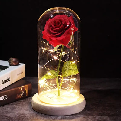 Eternal Rose Artificial Flower in Glass Cover with LEG String