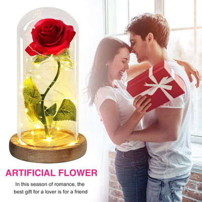 Eternal Rose Artificial Flower in Glass Cover with LEG String