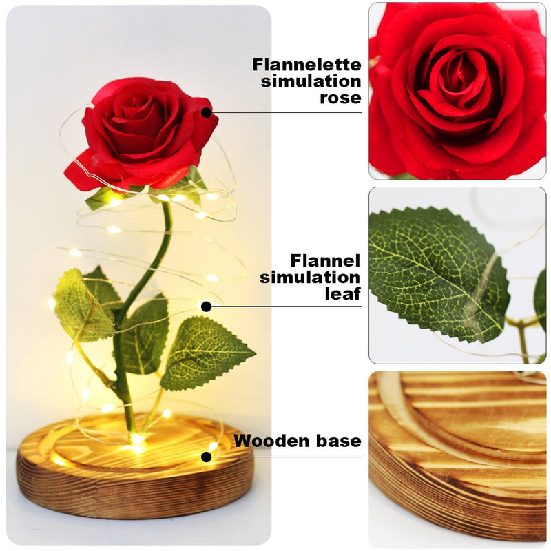 Eternal Rose Artificial Flower in Glass Cover with LEG String